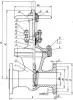 30нж15нж cast gate valve, DN50, PN40 