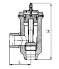 lift-type angle check valve, DN250, PN370 