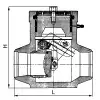swing check valve, DN250, PN120 