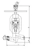 globe valve, DN20, PN373 