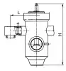 angle check valve, DN250, PN370 