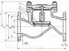 16с10нж lift check valve, DN15, PN16 