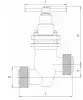 14с17п30-1 Bellow bellows valve, DN25, PN25 