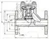16нж81п spring check valve, DN50, PN16 