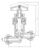 22нж86п bellows straight globe valve, DN15, PN25 