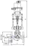 25ч945нж singe-seat control valve, DN200, PN16 
