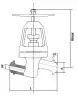 15нж52нж11 globe valve, DN25, PN63 