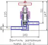 1с-11-1 globe valve, DN10, PN100 