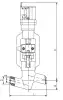 globe valve, DN50, PN137 