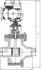 6с-13-5Э butterfly valve, DN250, PN100 