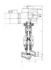 globe valve, DN65, PN235 