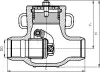 4с-3-1 swing check valve, DN80, PN100 