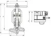 1с-12-1Э globe valve, DN10, PN250 
