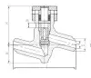 check valve, DN32, PN100 