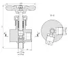 globe valve, DN10, PN137 