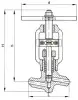 globe valve, DN10, PN100 