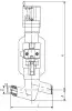 globe valve, DN65, PN235 