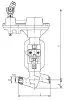 globe valve, DN50, PN137 