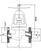 15с52нж10 globe valve, DN20, PN63 