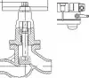 1с-8-2Э globe valve, DN80, PN100 