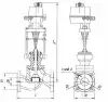 15с922нж globe valve, DN32, PN40 