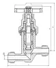 14нж17ст globe valve, DN15, PN10 
