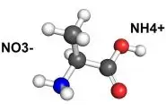 Search for valves for the working media «Ammonium Nitrate»