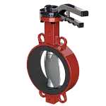 Butterfly valves